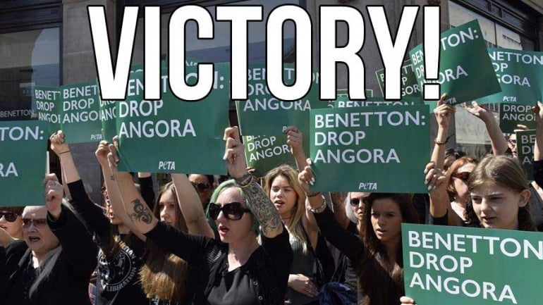 Benetton angora victory for email