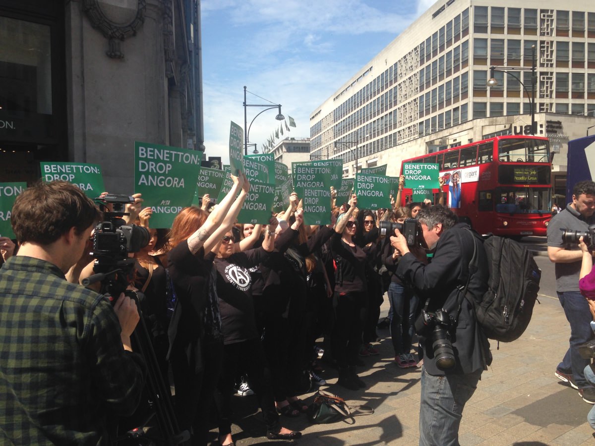 Kangoeroe Uitbreiding onkruid Benetton Feels the Heat on Angora Day of Action