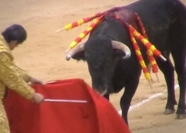 Too Many Tourists Don’t Realise That This Happens Right After the ‘Running of the Bulls’