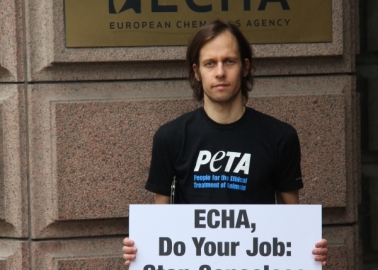 24,000 Compassionate Europeans Demand Action on Chemical Testing