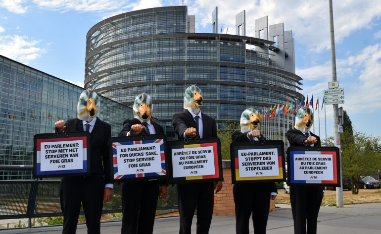 EU PARLIAMENT FOIE GRAS 2