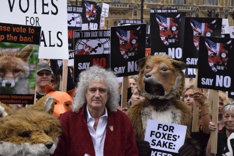 Fox Hunting Protest Brian May_mini