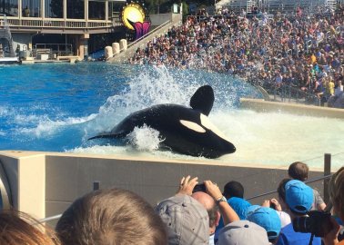 Paul O’Grady Calls On Thomas Cook to Stop Selling Tickets to SeaWorld