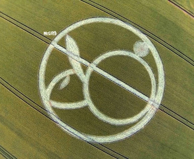 Bunny crop circle