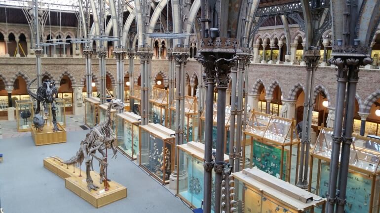 Natural History Museum