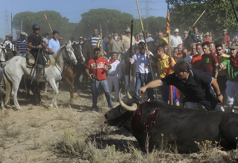 El Toro de la Vega: The Shame of Spain, Saving Earth
