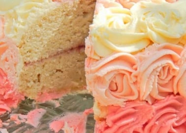 Ombre vanilla dream cake from Katy at littlemissmeatfree.co.uk