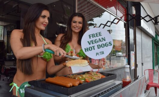 Vegan hot dog giveaway in former London butcher shop