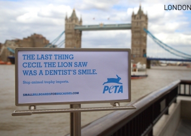 Tiny Billboards Send Powerful Message Around the Globe