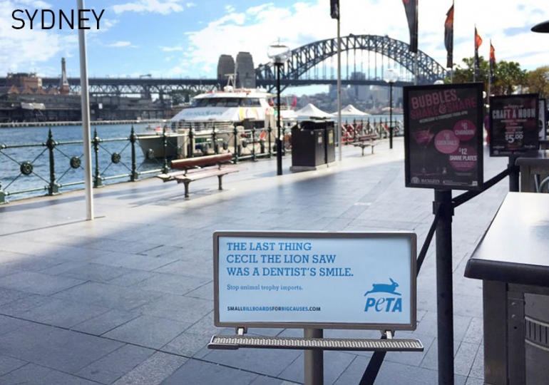 PETA Tiny Billboard - Sydney