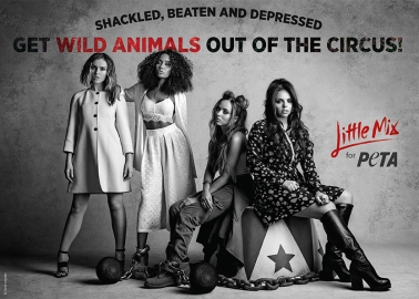 Little Mix’s Big Message: Get Wild Animals Out of the Circus