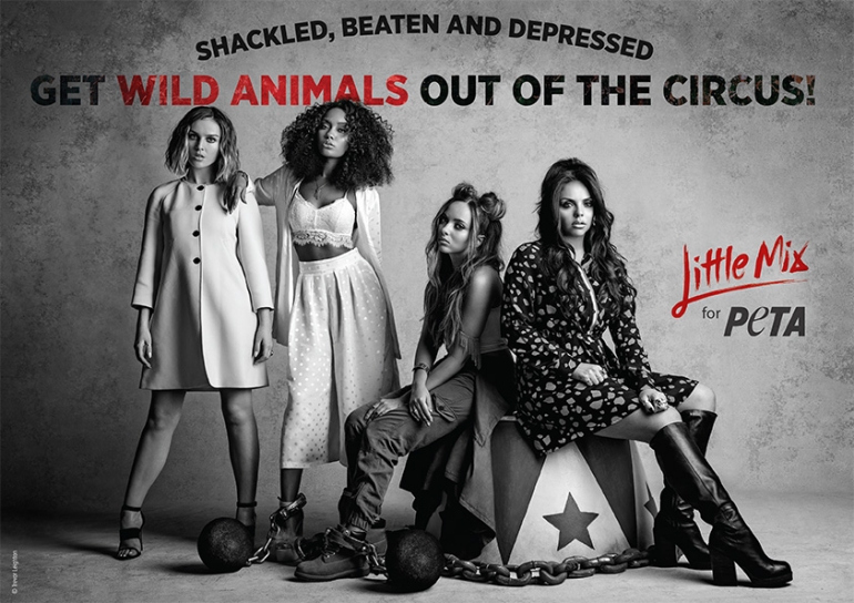 little mix PETA circus campaign