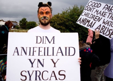 Welsh Protesters Take On Cruel Chipperfield Circus