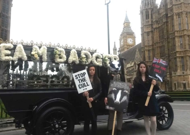 PHOTOS: Team Badger Holds ‘Funeral’ for Cull Victims