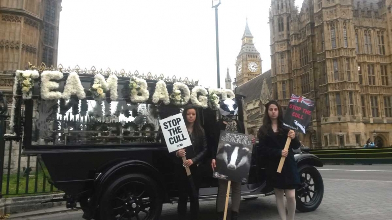 Badger-protest-hearse