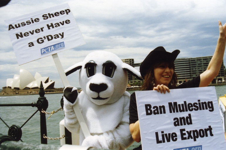 CH live export demo2-Jason Baker-PETA