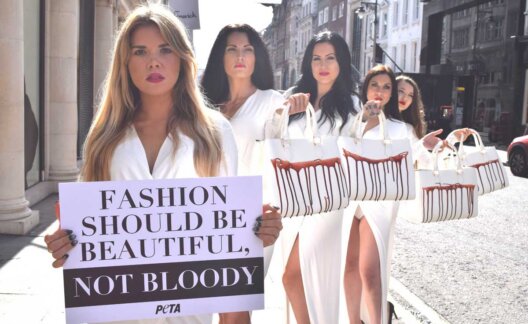 Protest against cruel exotic skins