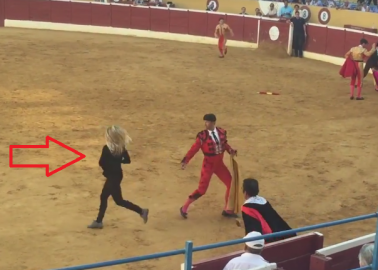 VIDEO: PETA Supporter Rushes to Try and Help Dying Bull in Marbella Bullring