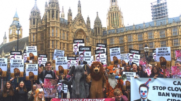 Westminster protest for circus animals