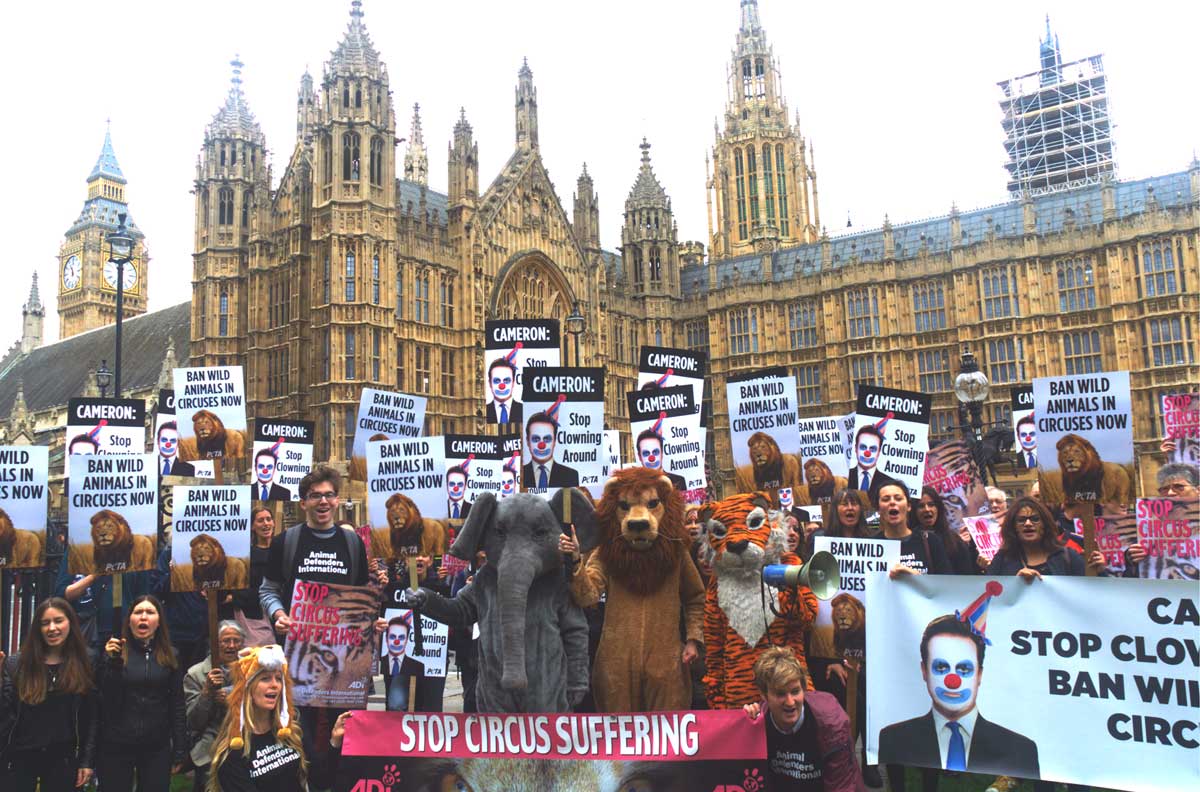 Westminster protest for circus animals