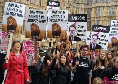 PHOTOS: ‘Wild Animals’ Roar for Cruel Circuses to End
