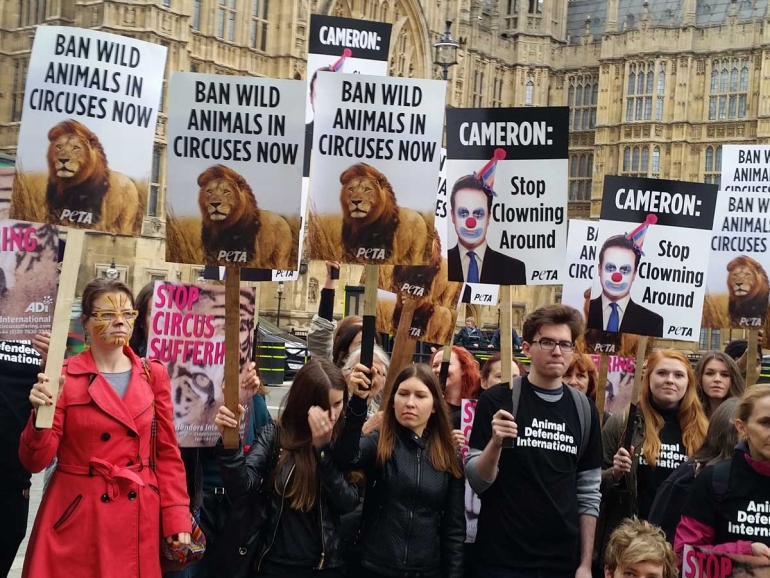 PHOTOS 'Wild Animals' Roar for Cruel Circuses to End