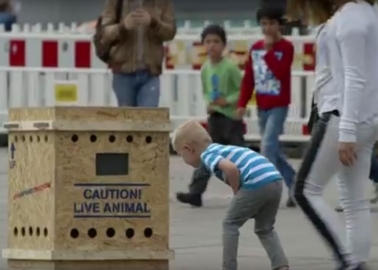 See How Berliners React to Monkey Sounds Coming From This Mysterious ‘Air France’ Cargo Crate