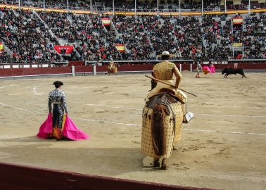 Spain’s Bullfighting Schools Must Be Shut Down