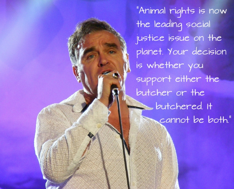 Morrissey Purple AR Quote CC