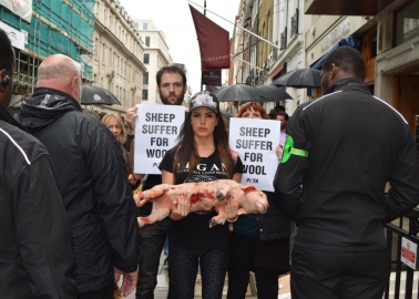 PHOTOS: Protesters Take Sheep’s Side at Wool Week