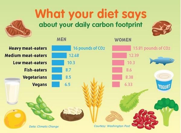 Carbon footprint graph