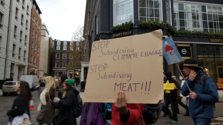 Vegan London Climate March