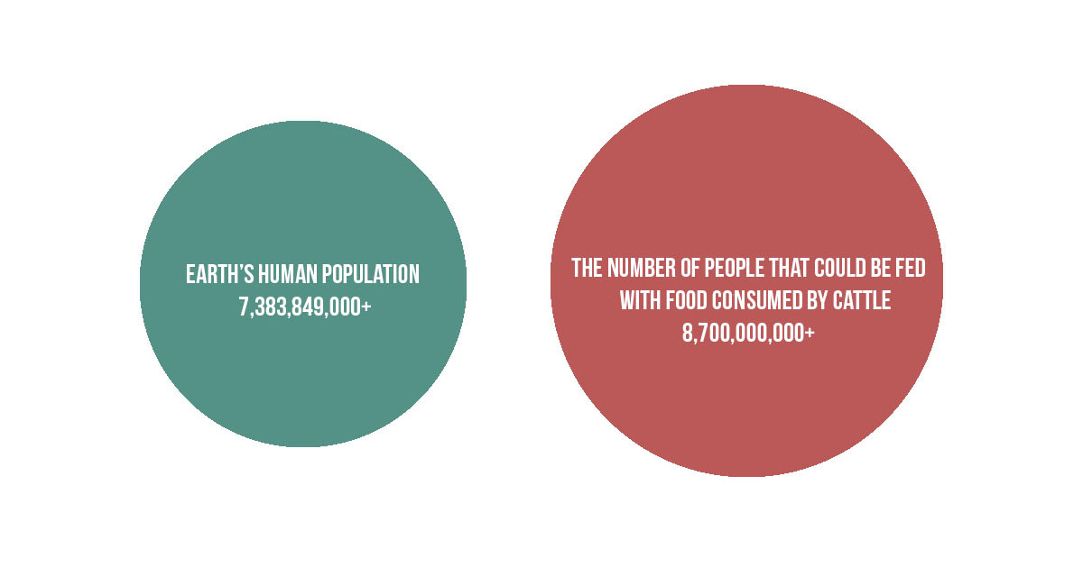 How does going vegan help save the planet? Here are the facts