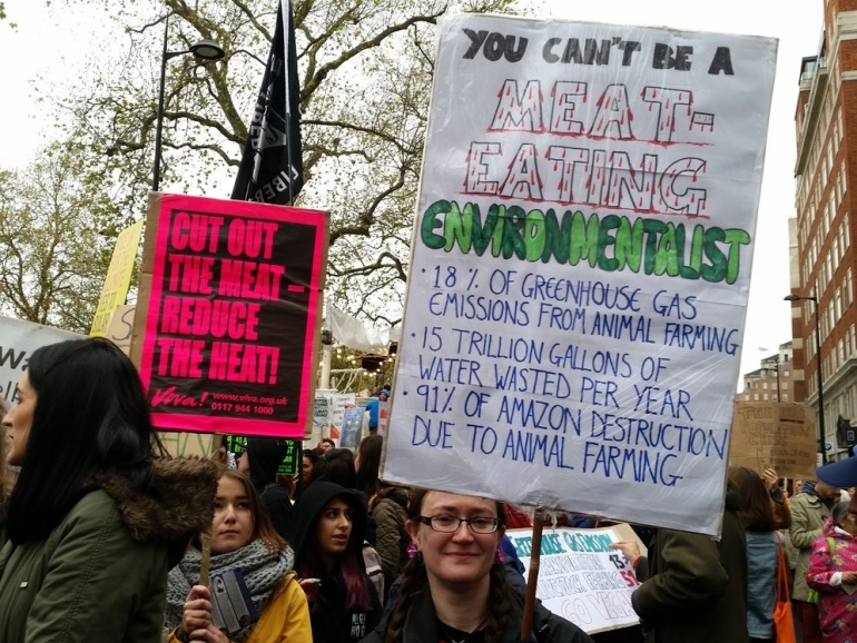 Vegan London Climate March