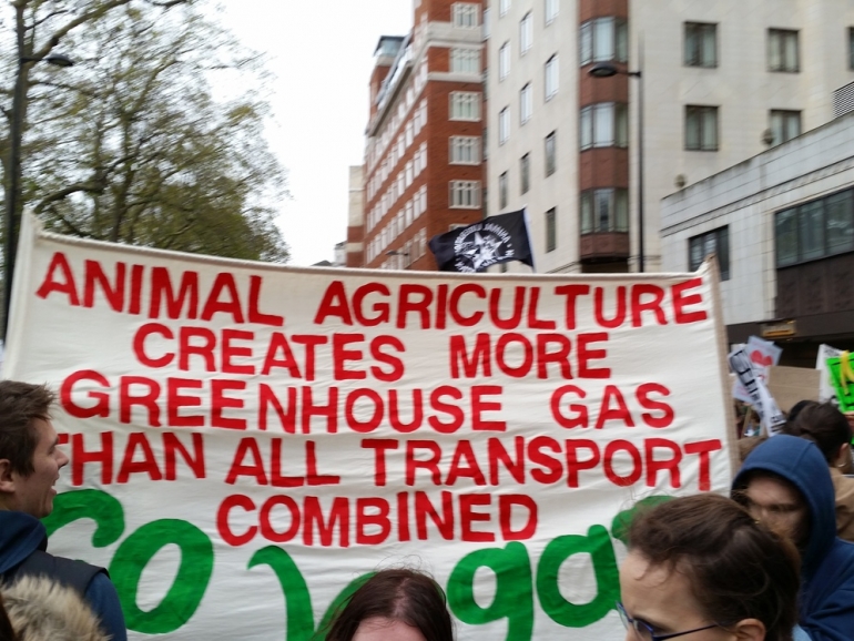 Vegan London Climate March