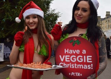 ‘Lettuce Ladies’ Offer Delicious Meat-Free Christmas Roast to Oxford Shoppers