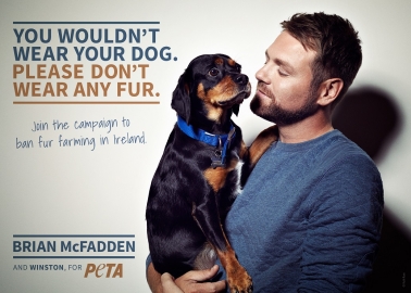 Brian McFadden and Pup Winston Star in Ad Calling for Ban on Irish Fur Farms