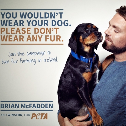 Brian McFadden Stars in New PETA Ad Calling for Ban on Irish Fur Farms
