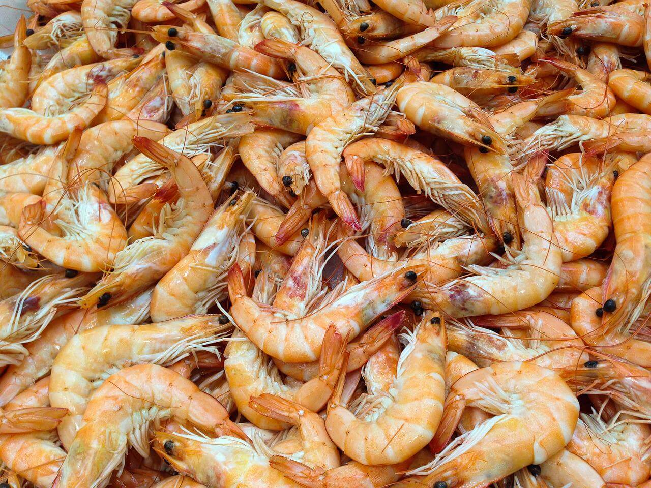 One More Reason Not to Eat Shrimp Slavery