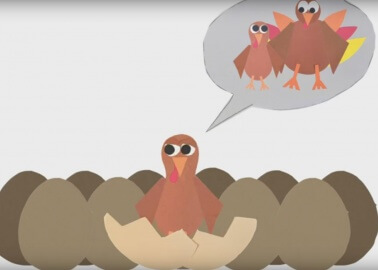 8 Christmas Videos to Make You Rethink Your Relationship With Turkeys