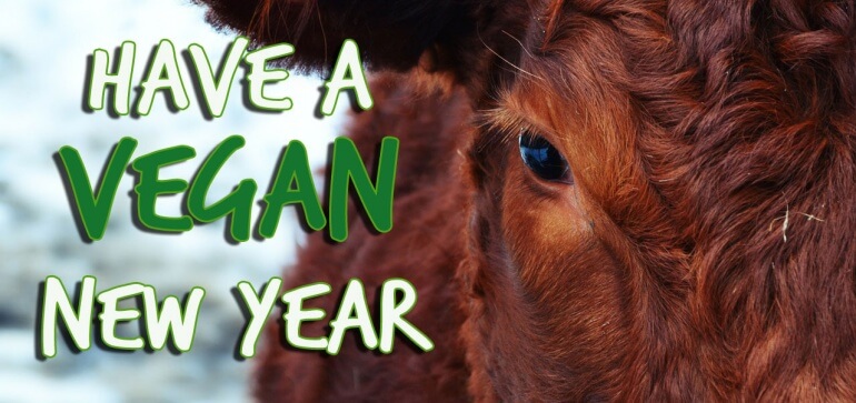 Vegan-New-Year-Cow-Skinny