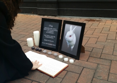 This Touching Memorial for a Rabbit Just Appeared Outside a Shop That Sells Fur