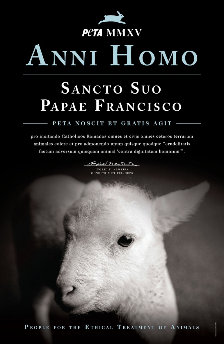 Pope Francis Person of the Year Award Certificate