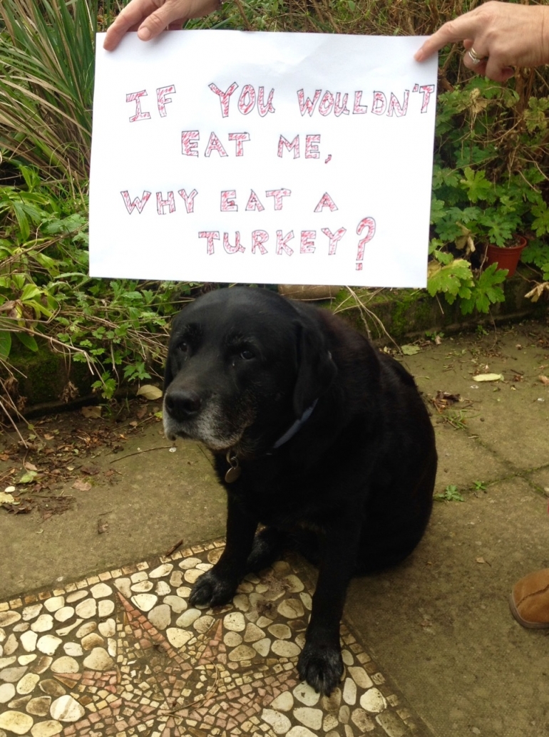 Dog with Sign Don't Eat Turkey Christmas