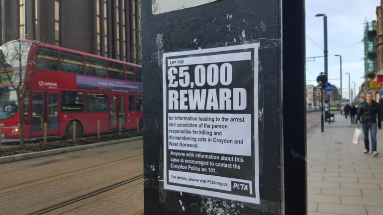 Croydon cat killer poster _mini