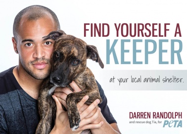 Footballer Darren Randolph and Cute Pup Tia Want You to Adopt!