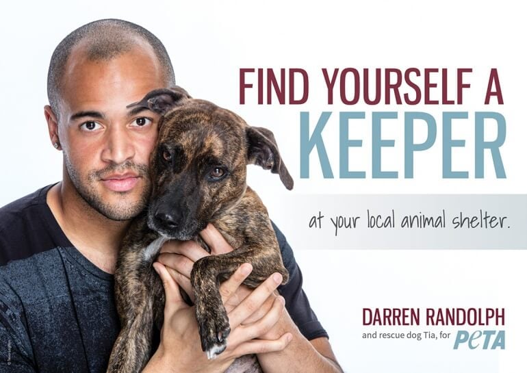 Darren Randolph Adoption Dog Advert