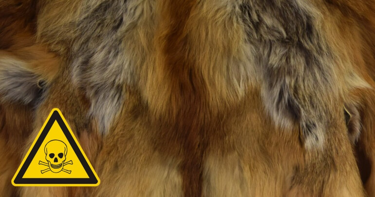 Toxic fur