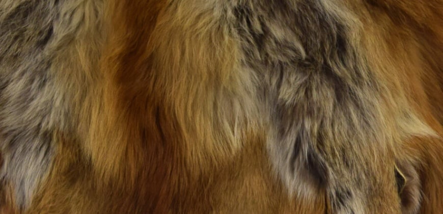 Woolrich fur peta hotsell