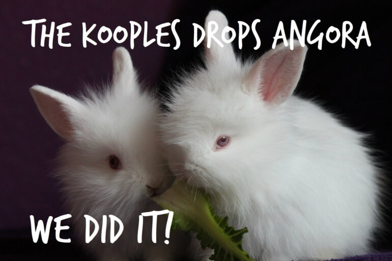 The Kooples Drops Angora